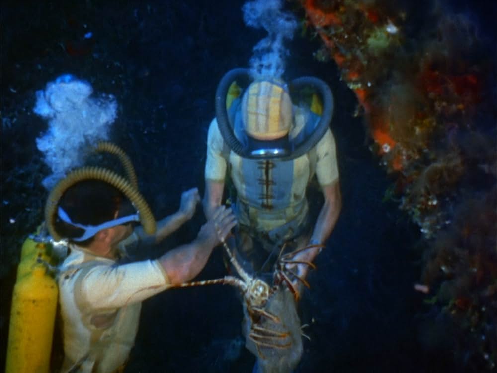 沈黙の世界の画像