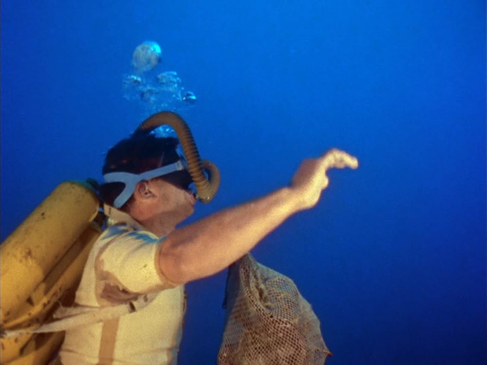 沈黙の世界の画像