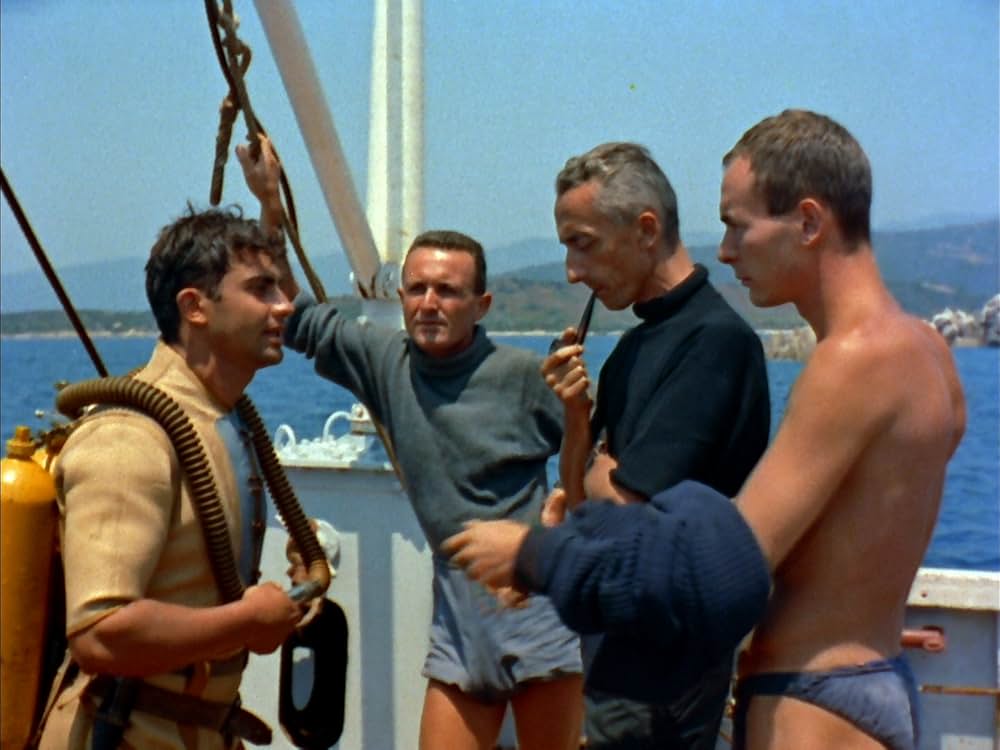 沈黙の世界の画像