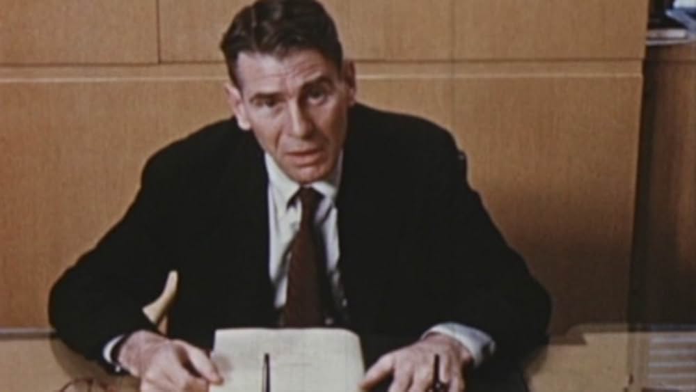 海の旅人たちの写真