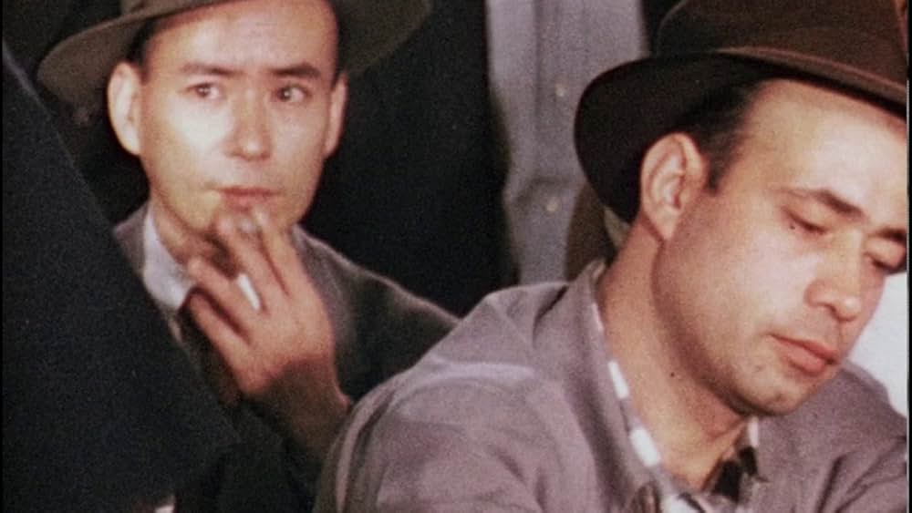 海の旅人たちの画像