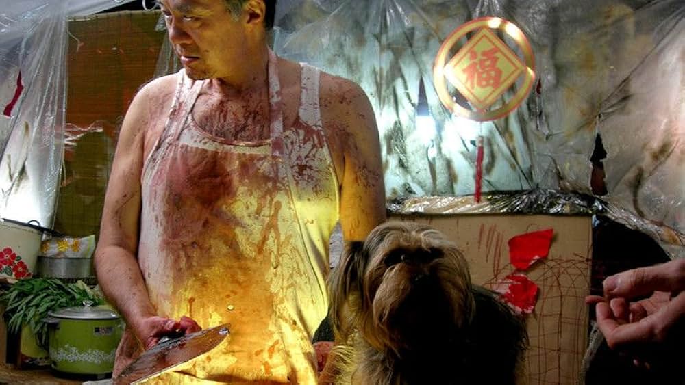 Live Feed（原題）の写真