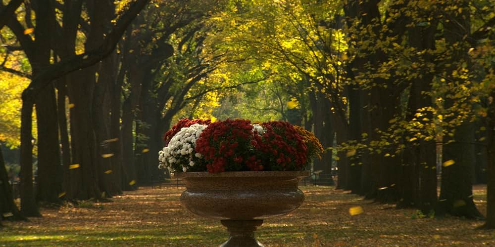 メガロポリスの画像