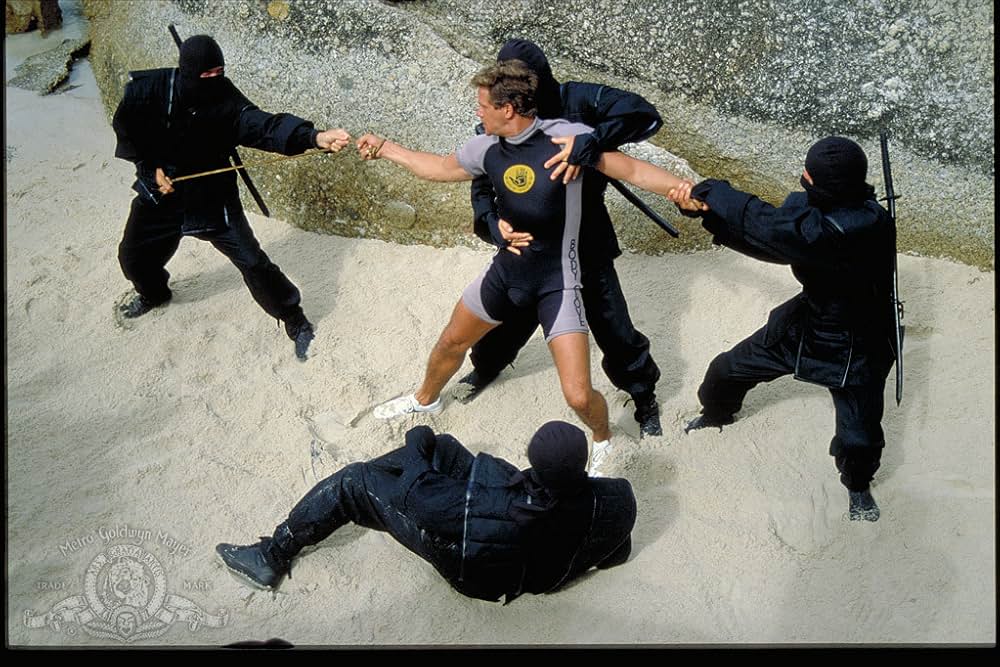 アメリカン忍者2／殺人レプリカントの画像