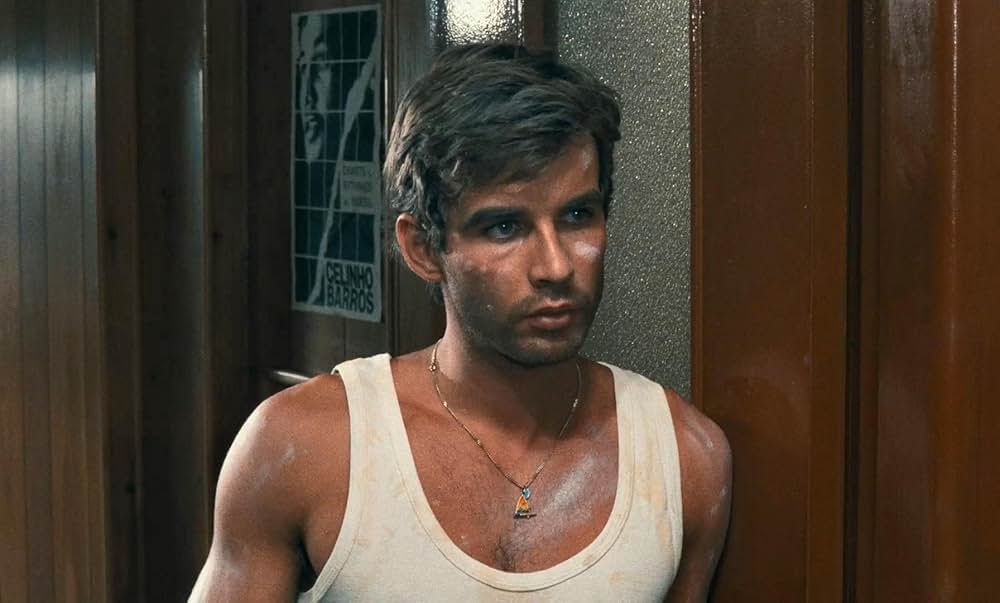 薔薇のようなローザの画像