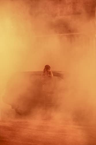 「虹蛇と眠る女」ニコール・キッドマンの画像