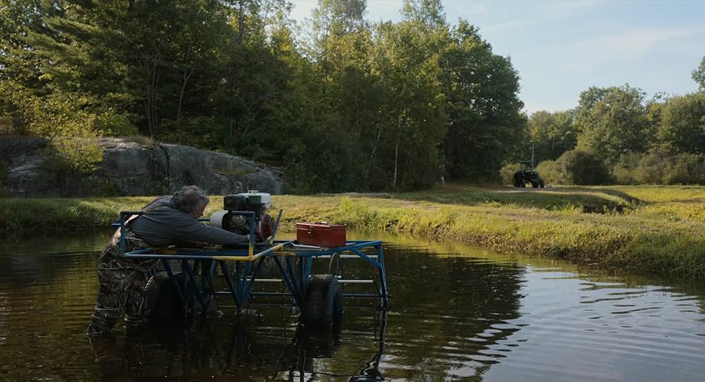 マイ・オールド・アス ～2人のワタシ～の画像