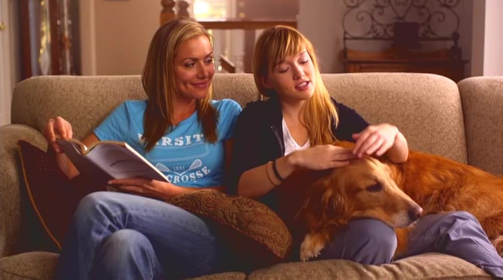 ブルーミントンの恋の画像