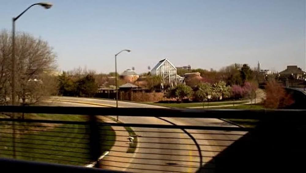 ブルーミントンの恋の画像