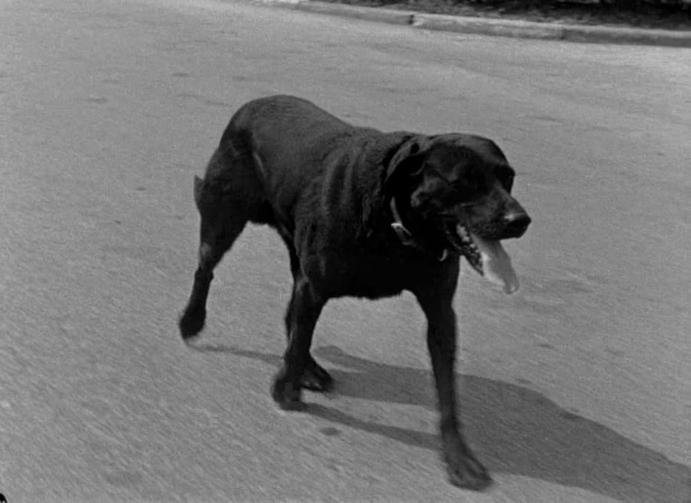 暁の出撃の画像