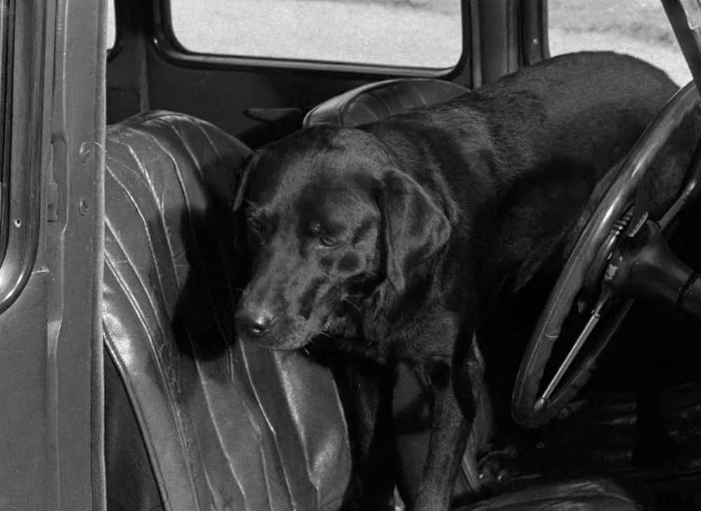 暁の出撃の画像