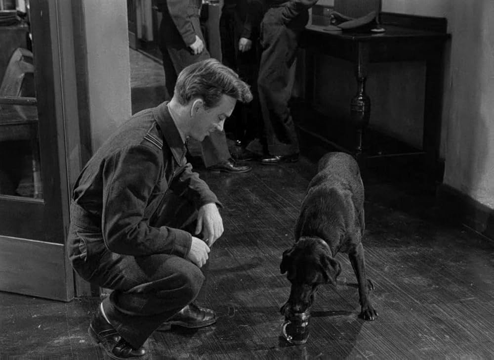 暁の出撃の画像