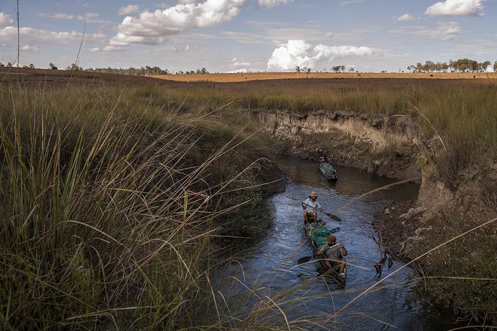 イントゥ・ザ・オカバンゴの画像
