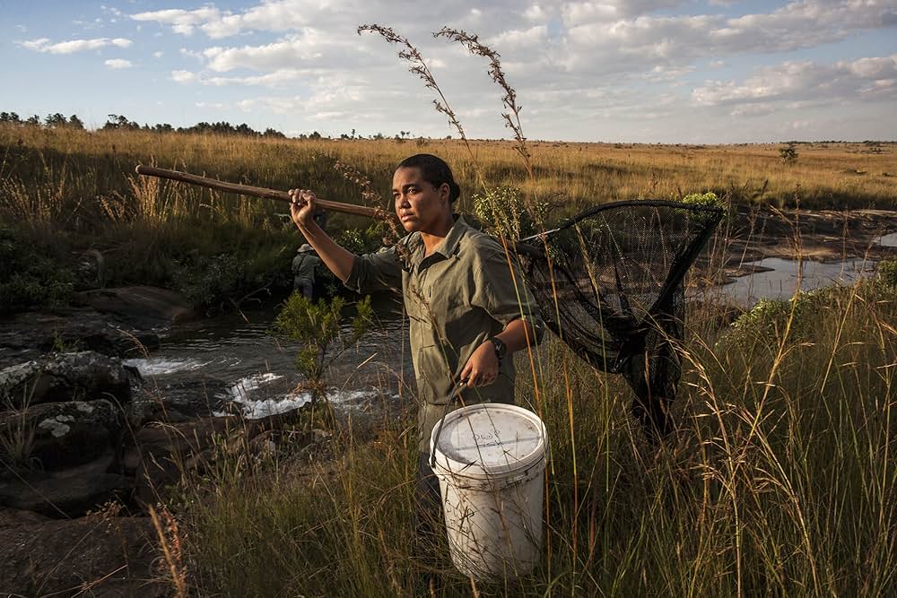 イントゥ・ザ・オカバンゴの画像