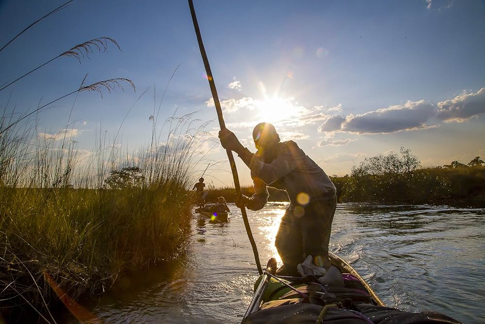 イントゥ・ザ・オカバンゴの画像