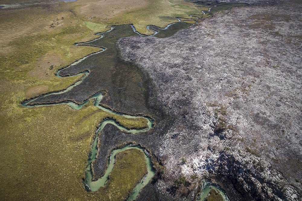 イントゥ・ザ・オカバンゴの画像