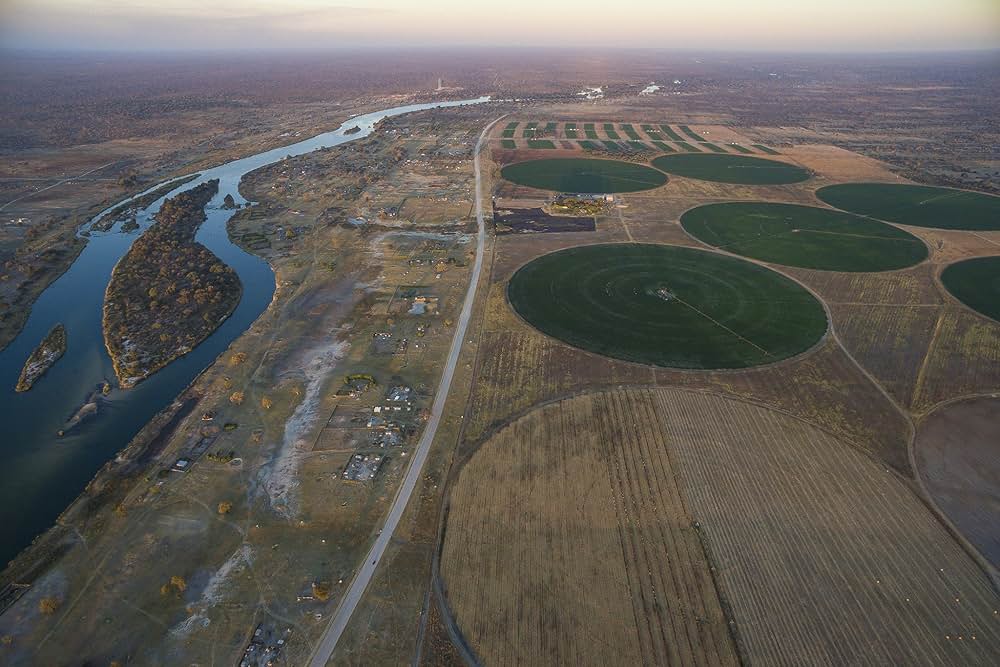 イントゥ・ザ・オカバンゴの写真