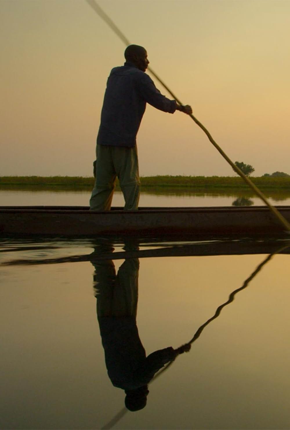 イントゥ・ザ・オカバンゴの画像