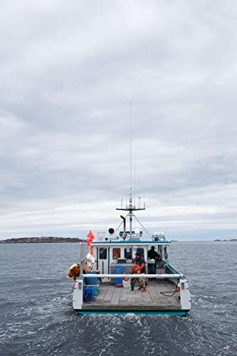 マンチェスター・バイ・ザ・シーの画像