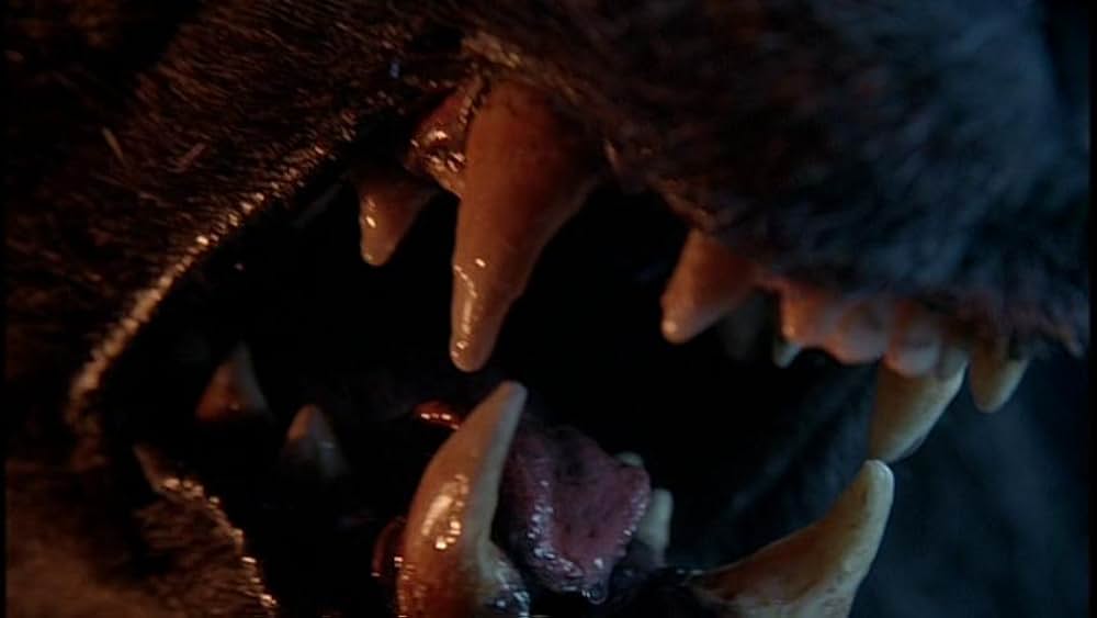 シュリンジの画像