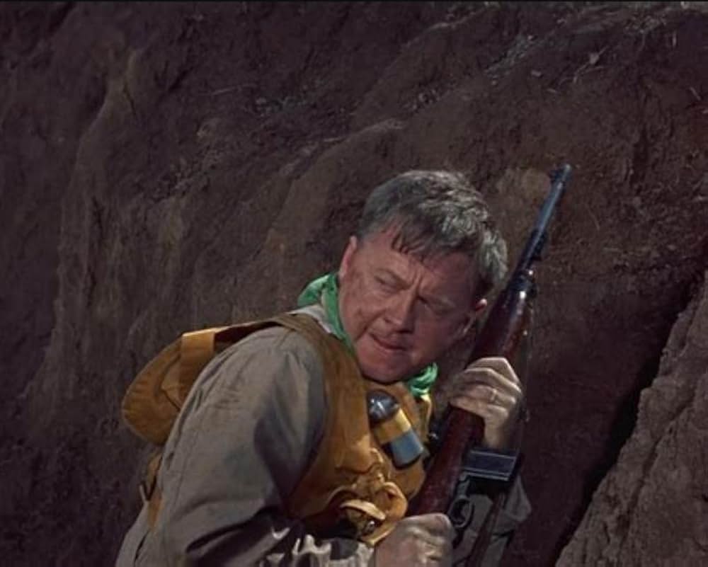 トコリの橋の画像