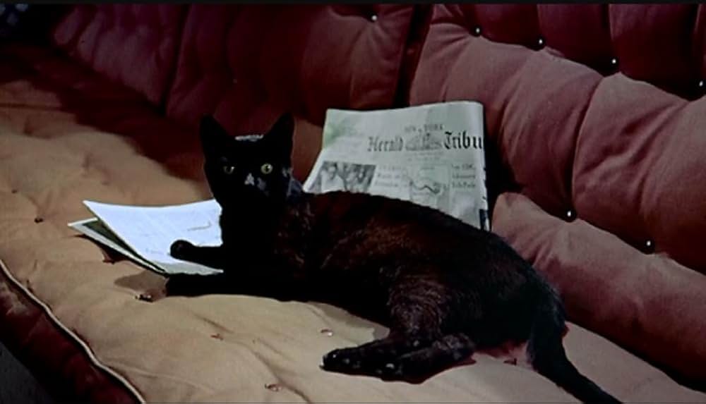 泥棒成金の画像