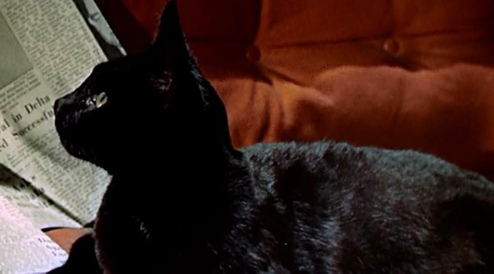 泥棒成金の画像