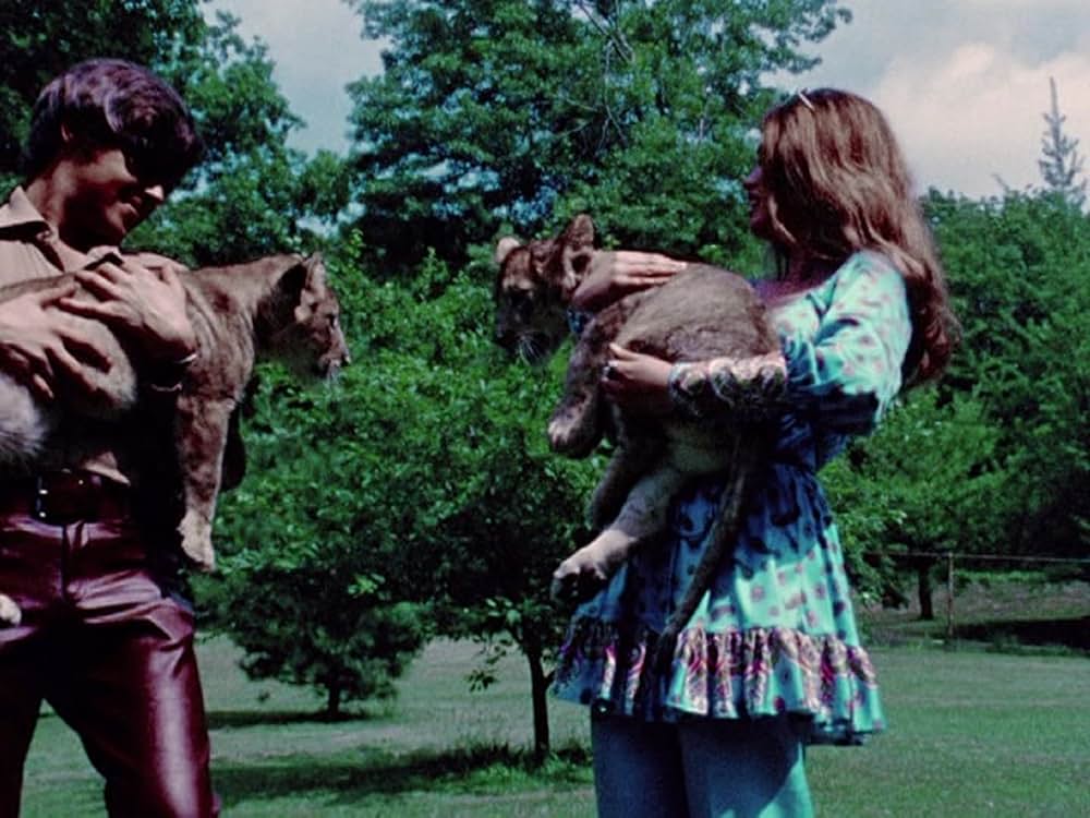 ゼアーズ・オールウェイズ・バニラ（原題）の画像