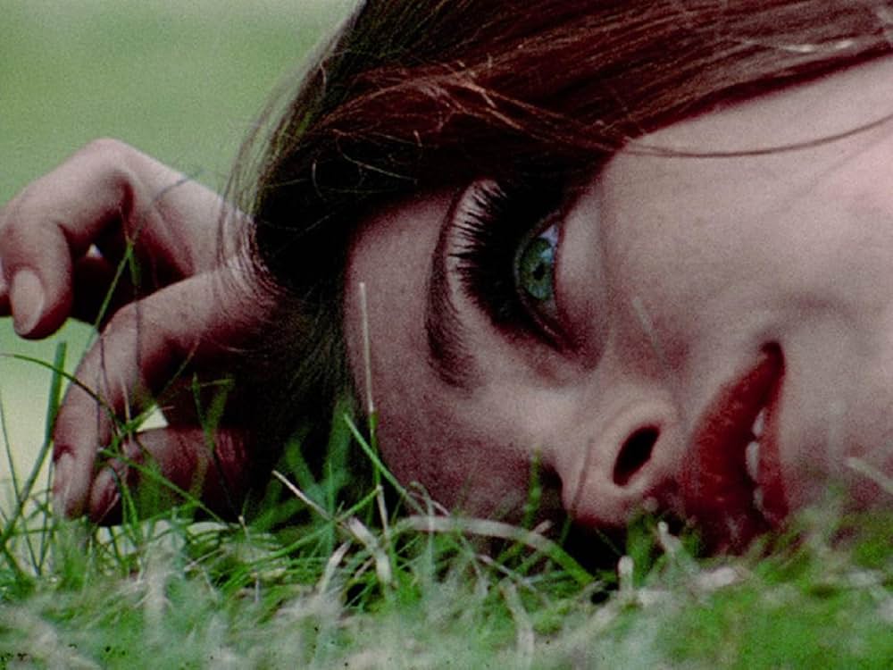 ゼアーズ・オールウェイズ・バニラ（原題）の画像