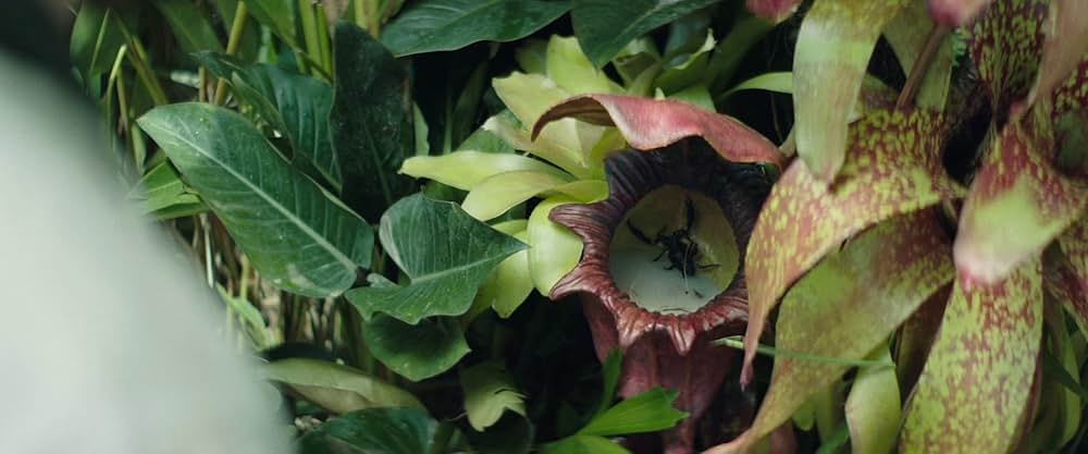 Edge of the World（原題）の画像