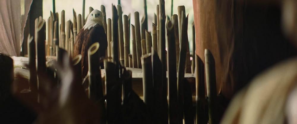 Edge of the World（原題）の画像