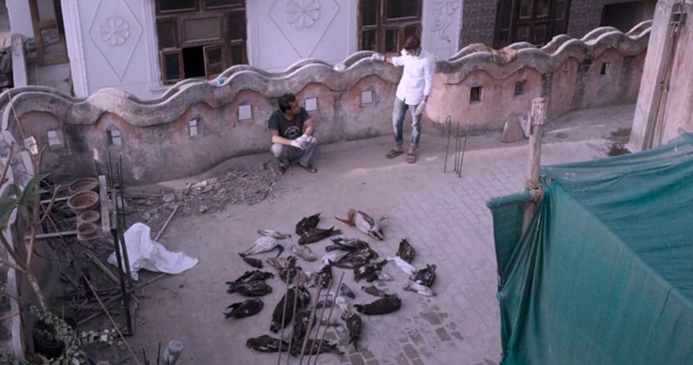 オール・ザット・ブリーズの画像