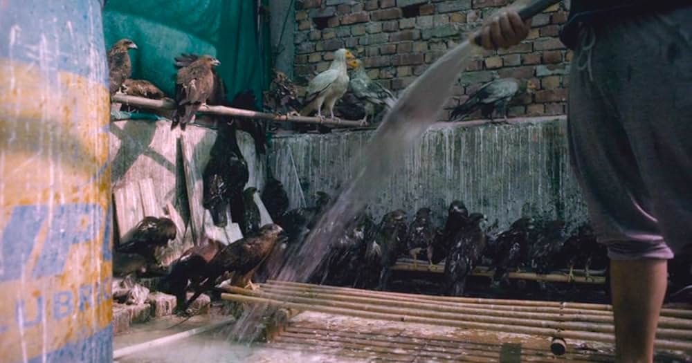 オール・ザット・ブリーズの画像