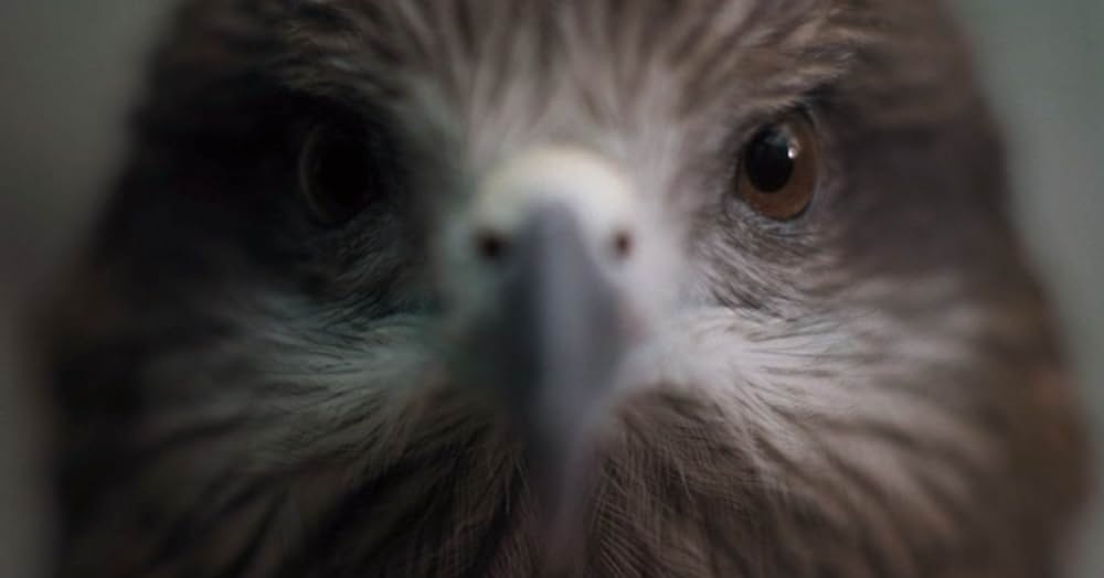 オール・ザット・ブリーズの写真