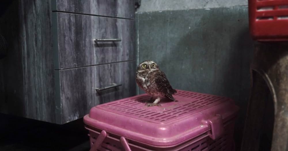 オール・ザット・ブリーズの画像