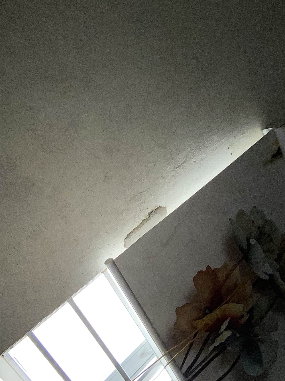 オール・ザット・ブリーズの画像