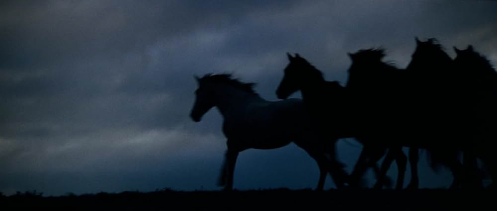 スノーリバー／輝く大地の果てにの画像