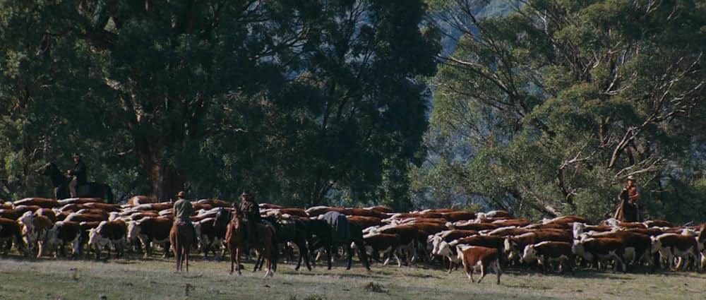スノーリバー／輝く大地の果てにの画像