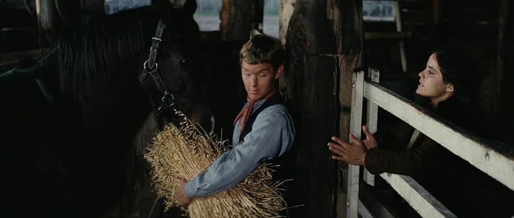 スノーリバー／輝く大地の果てにの画像