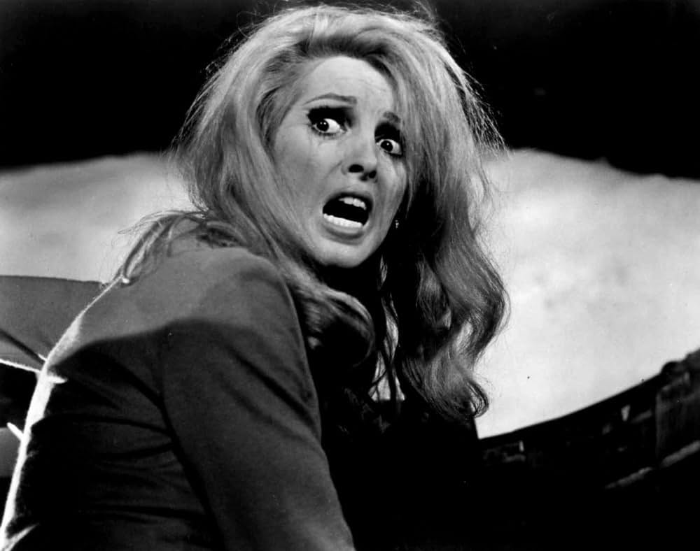 ナイトメアーワックスの画像