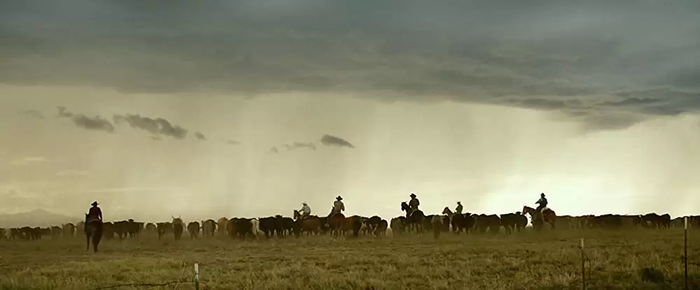 最後の追跡の画像