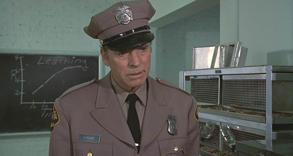 真夜中の男の画像