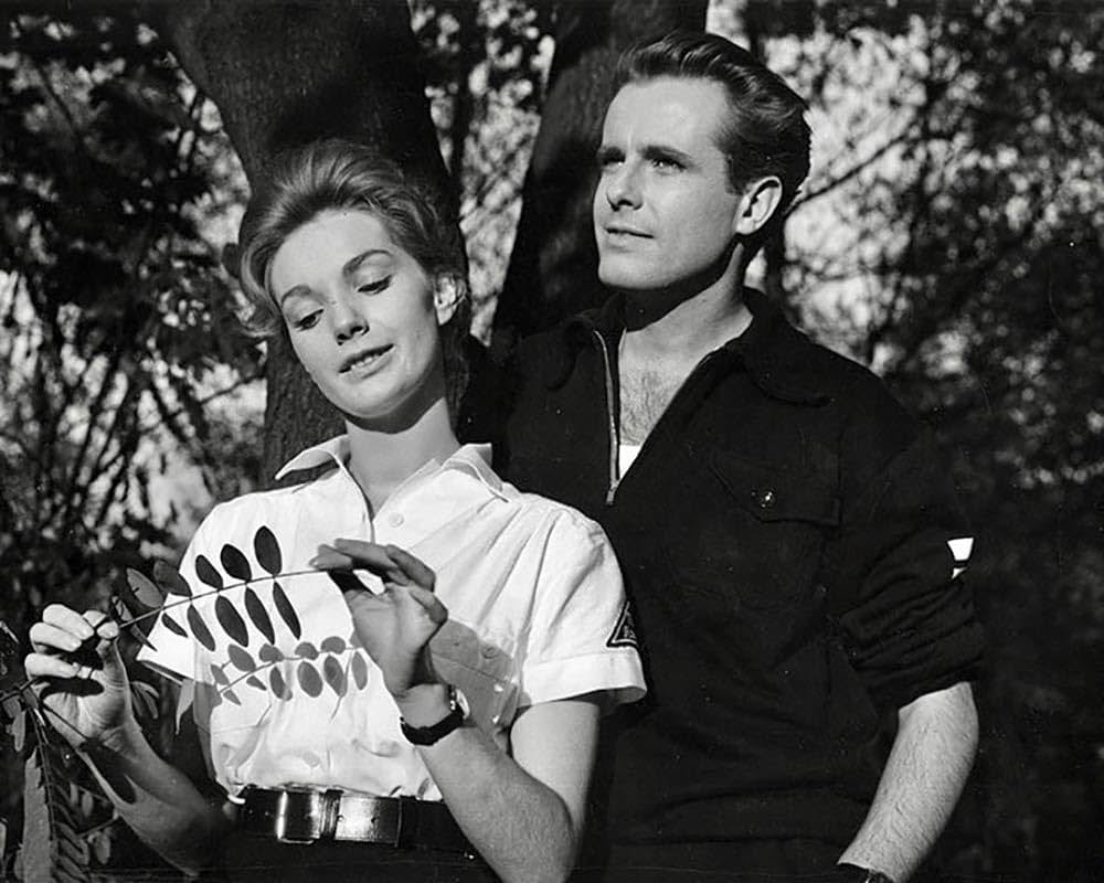 第三帝国の野望の画像