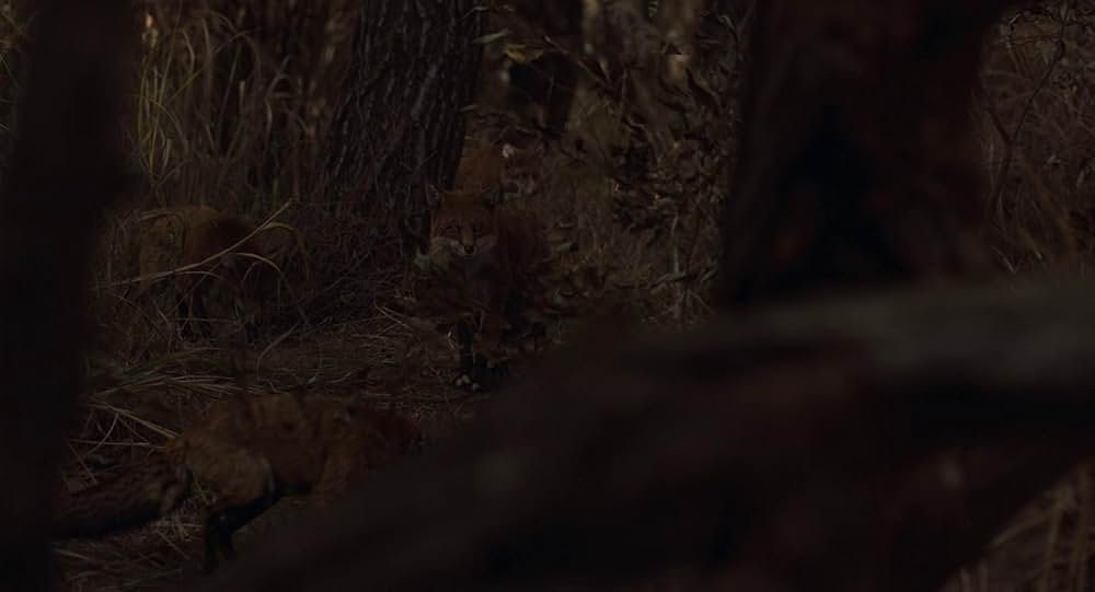 破墓／パミョの画像