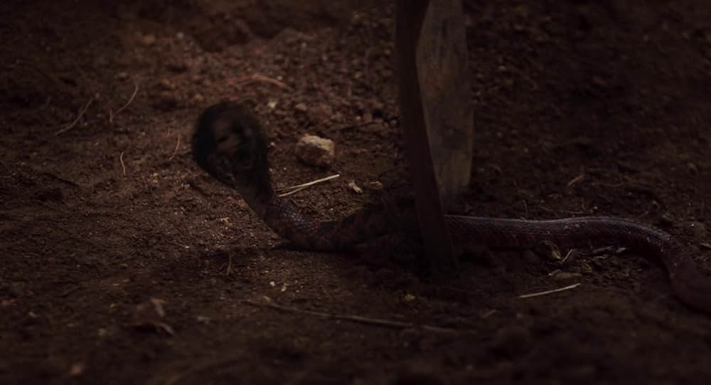 破墓／パミョの画像