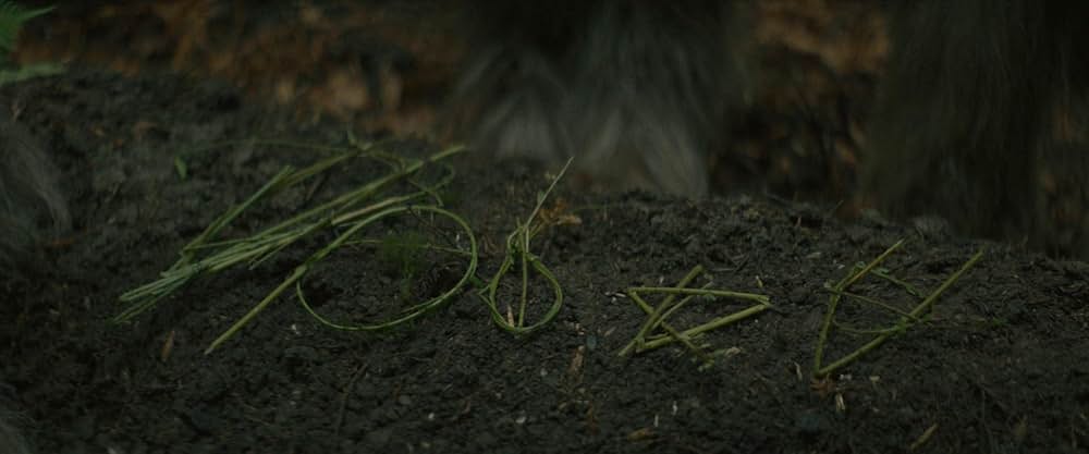 サスカッチ・サンセットの画像