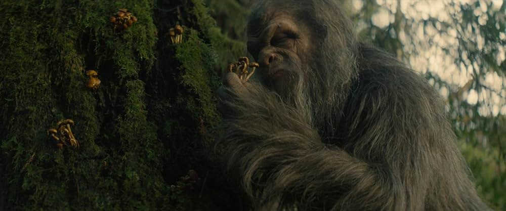 サスカッチ・サンセットの画像