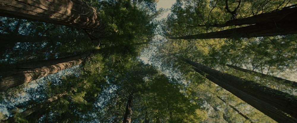 サスカッチ・サンセットの画像