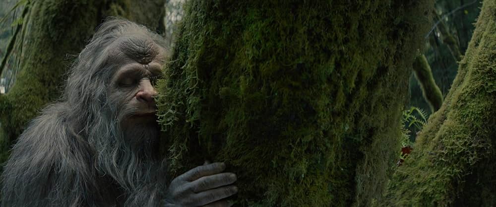 サスカッチ・サンセットの画像