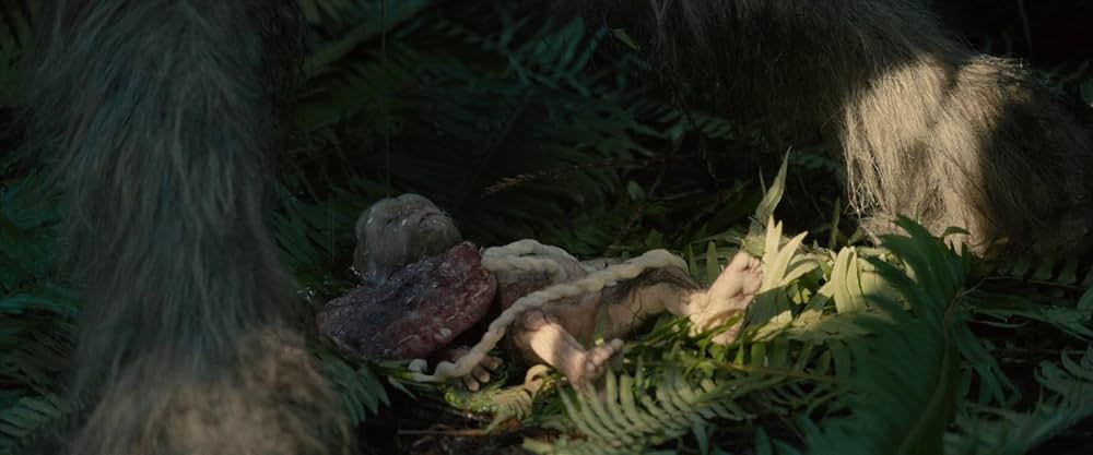 サスカッチ・サンセットの画像